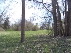 Irene, Vacant, Inkster, MI